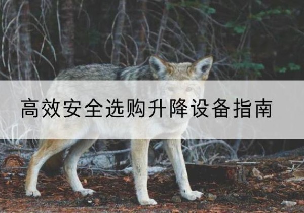 大石桥升降货梯厂家推荐-*安全选购升降设备指南
