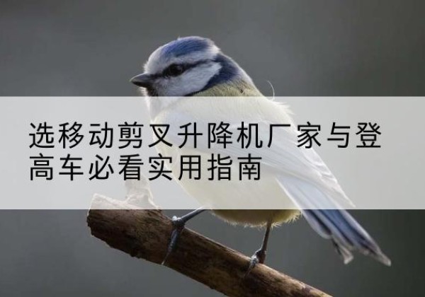 大石桥电动升降机厂家-选移动剪叉升降机厂家与登高车必看实用指南